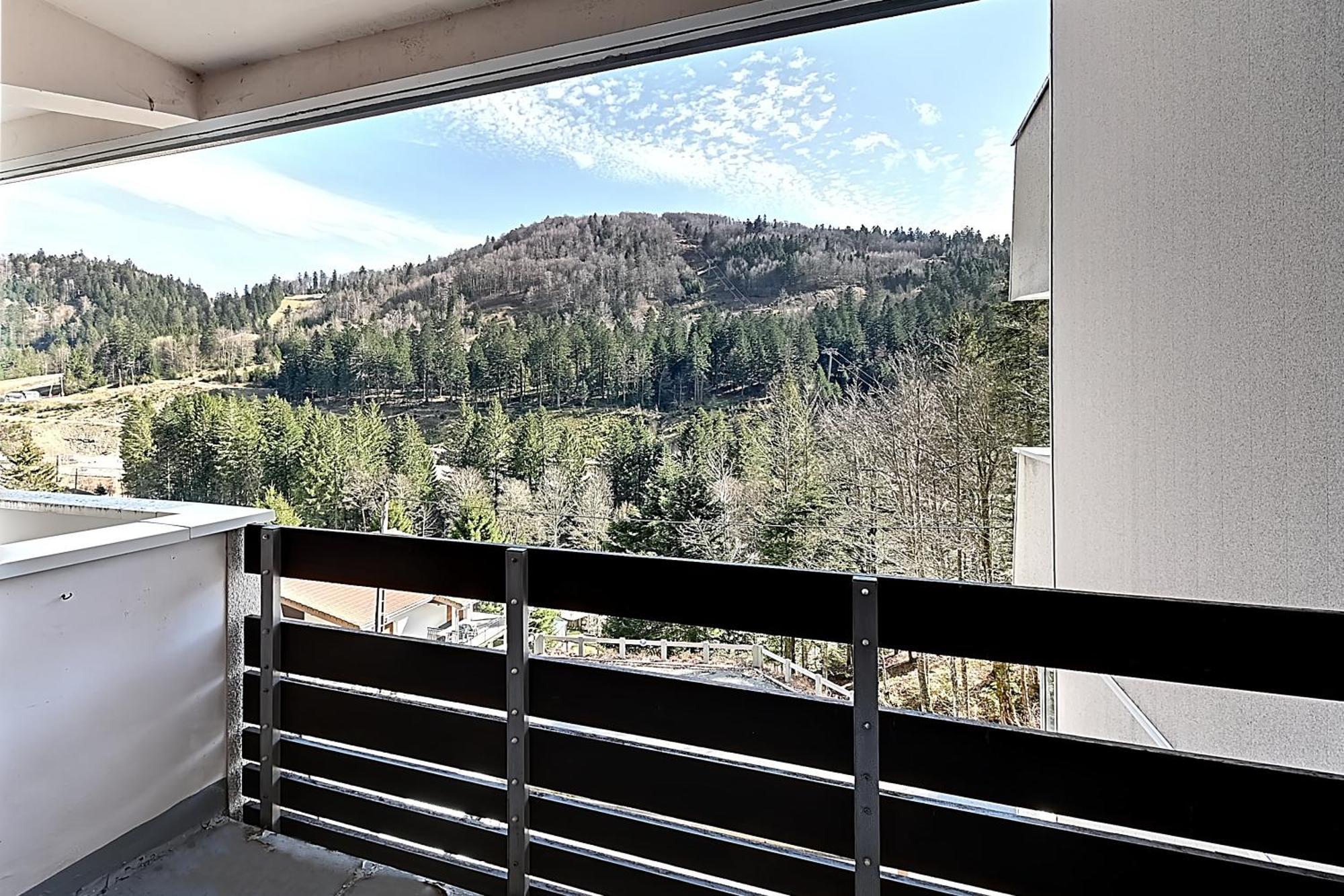 Le Cocoon - Appt Vue Montagne Leilighet La Bresse Eksteriør bilde