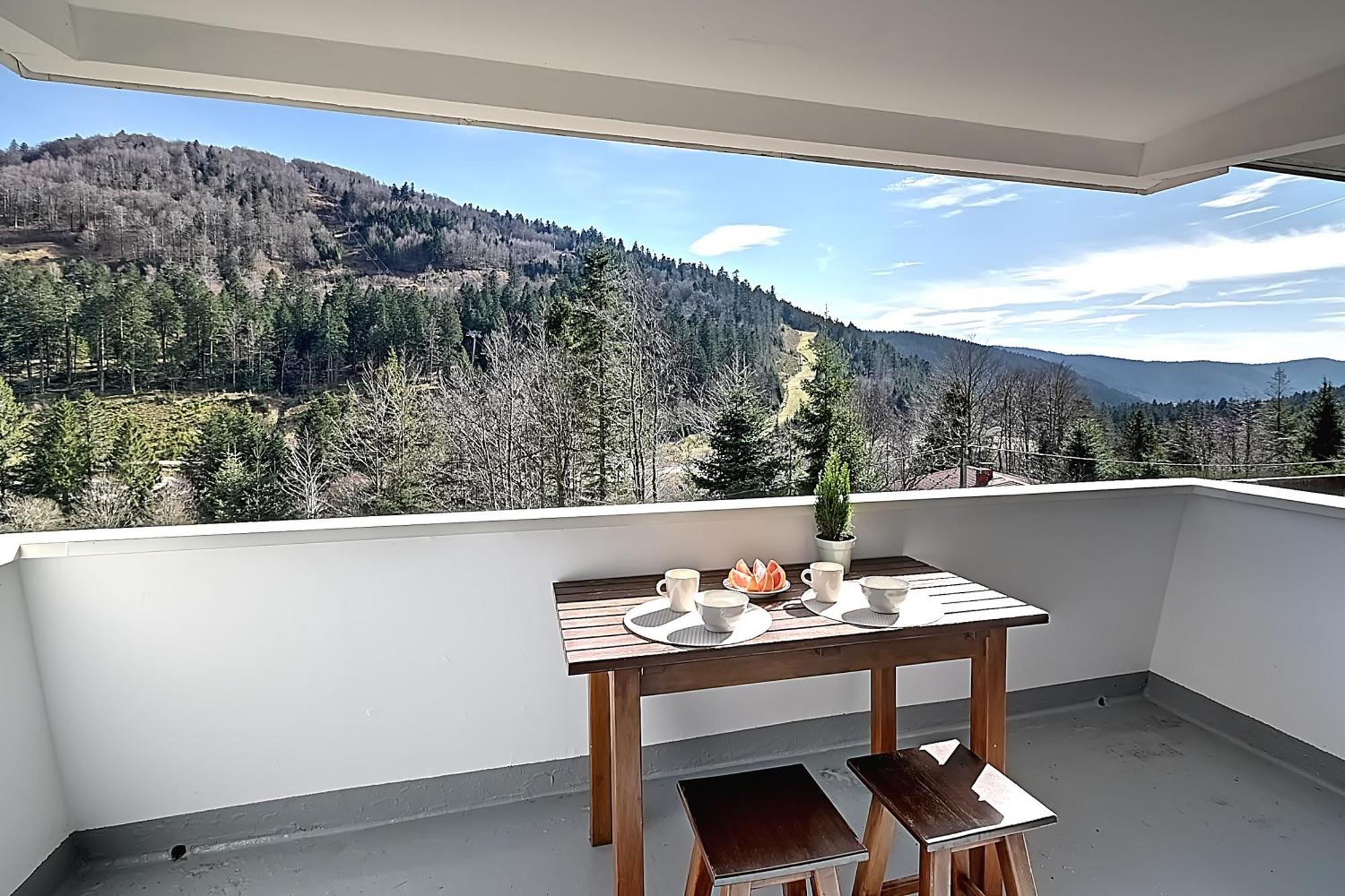 Le Cocoon - Appt Vue Montagne Leilighet La Bresse Eksteriør bilde